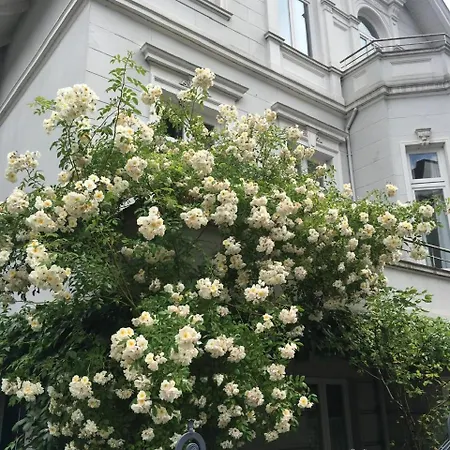 Ruhige In Zentral Gelegener Gruenderzeitvilla * 올덴부르크